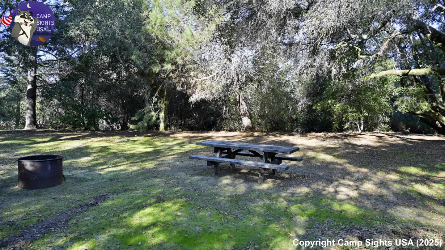Henry Cowell State Park #69