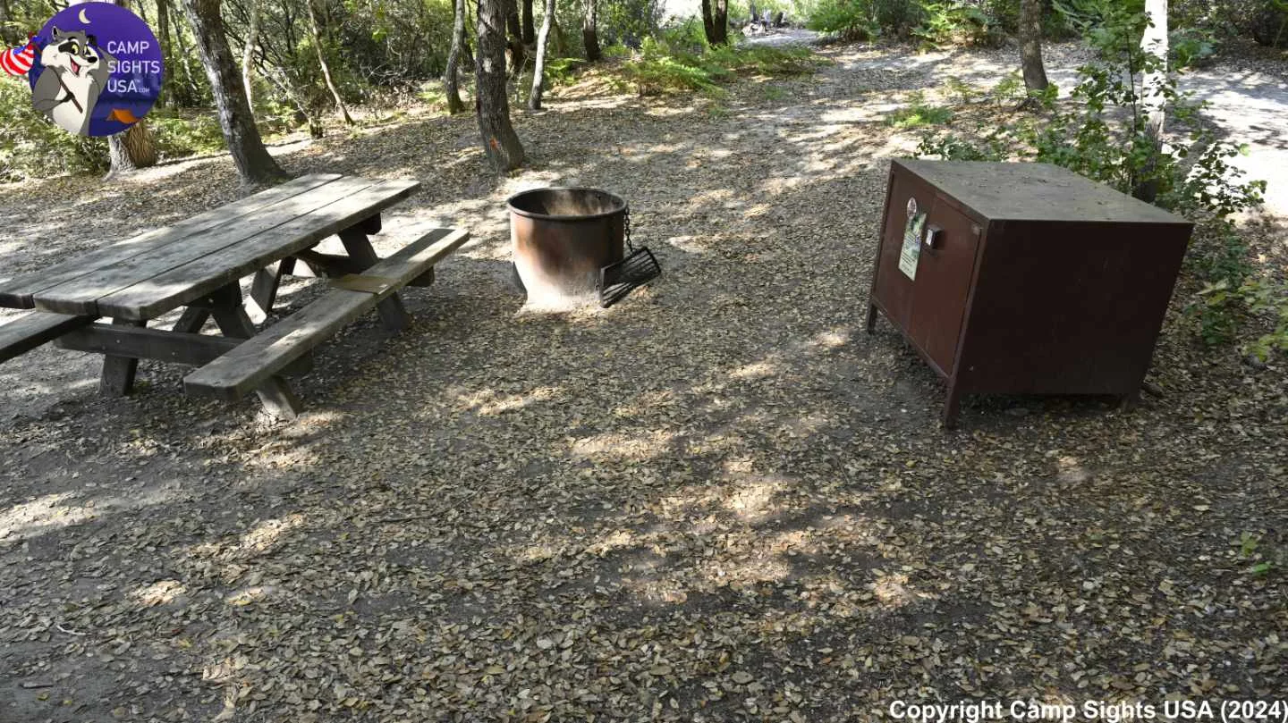Henry Cowell State Park #70