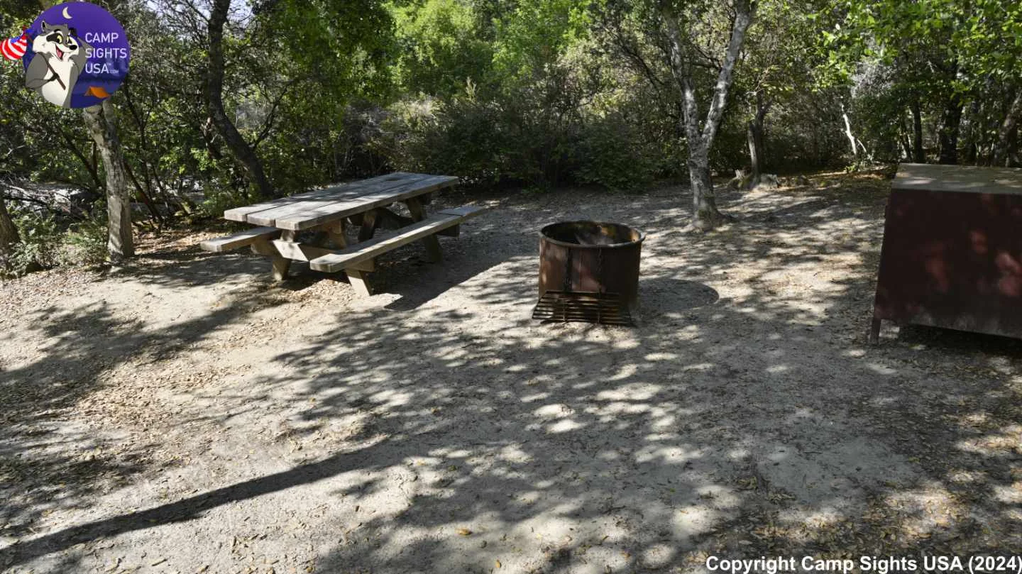 Henry Cowell State Park #71