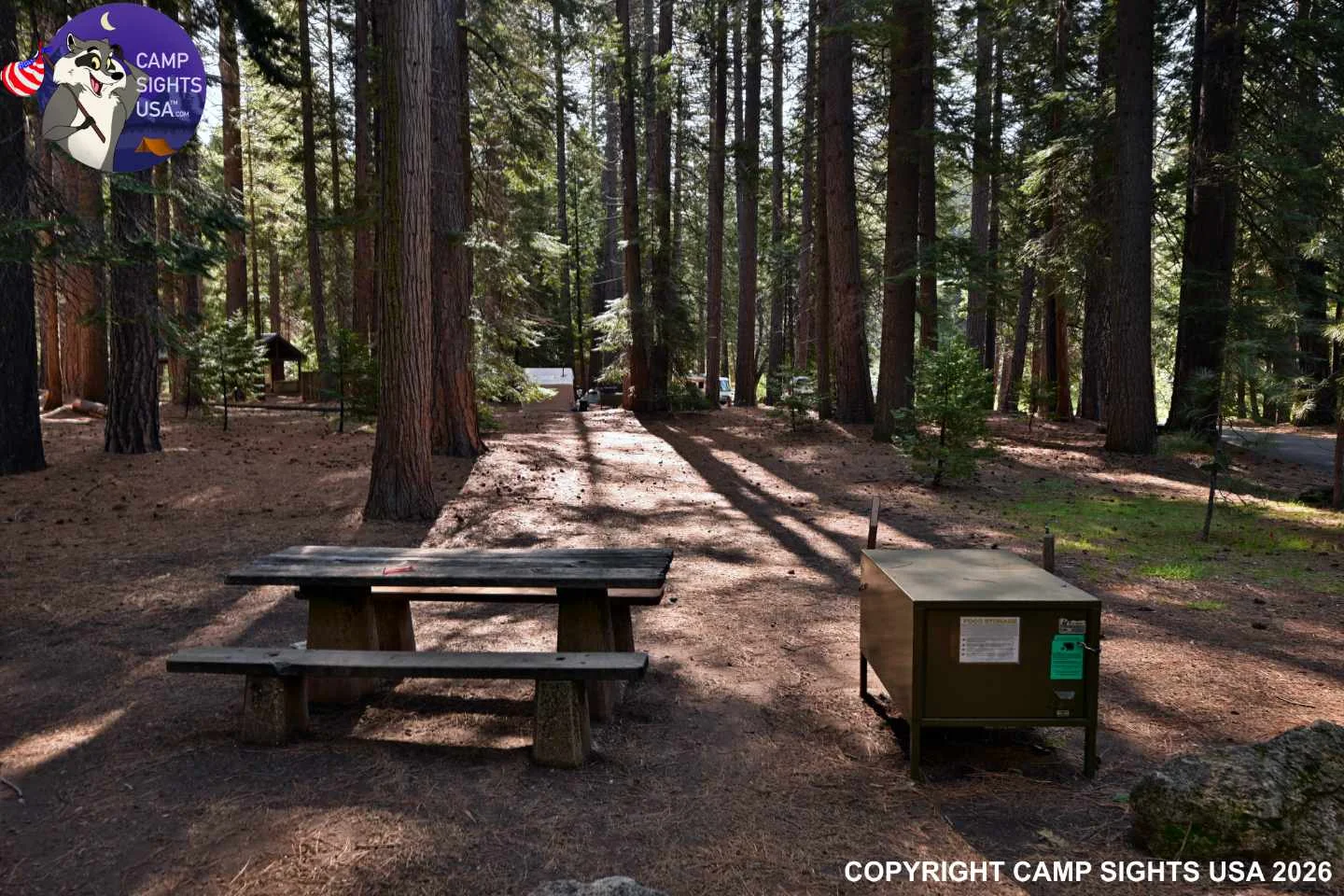 Calaveras Big Trees State Park #1