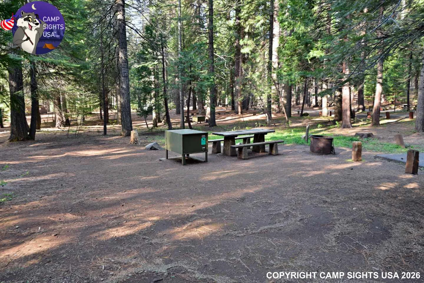 Calaveras Big Trees State Park #2