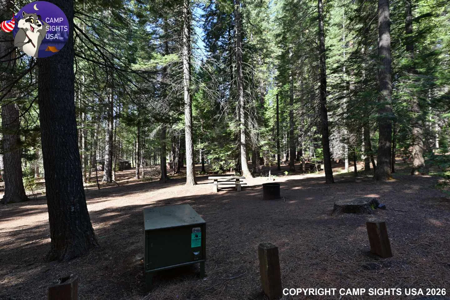 Calaveras Big Trees State Park #3