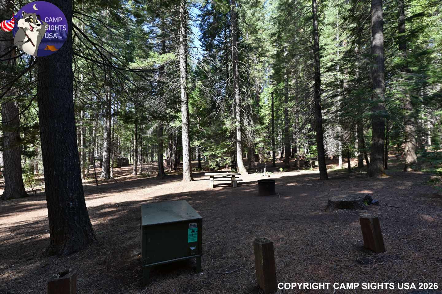 Calaveras Big Trees State Park #3