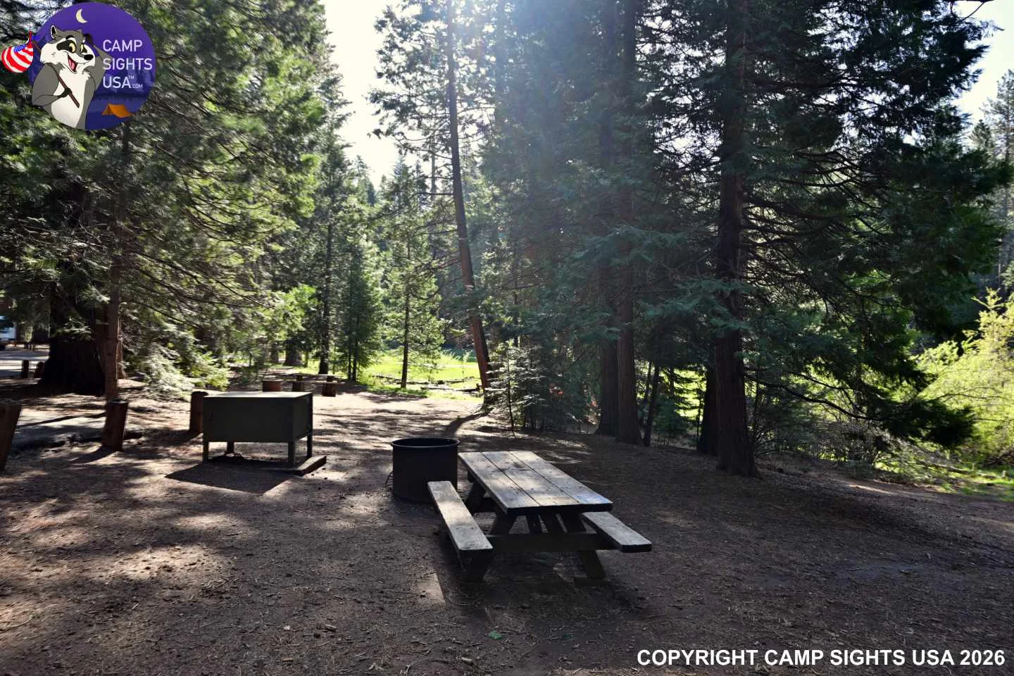 Calaveras Big Trees State Park #4