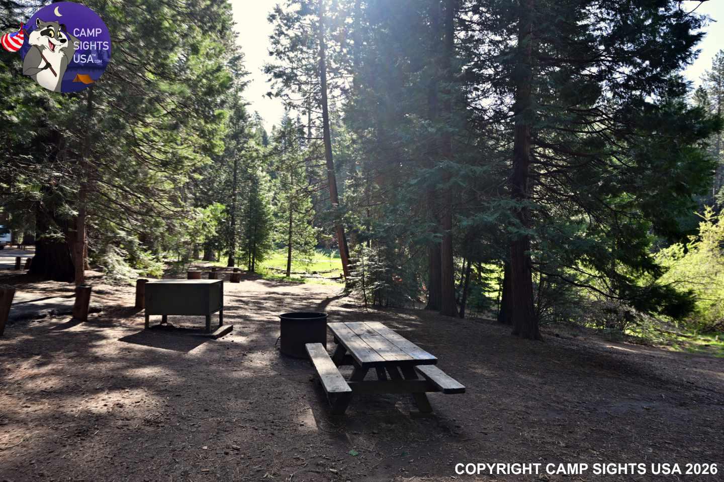 Calaveras Big Trees State Park #4