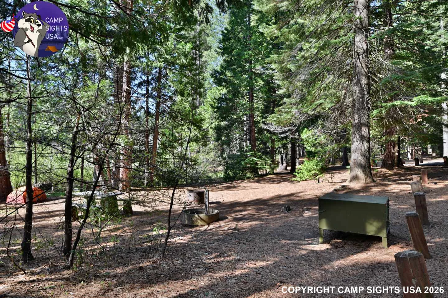 Calaveras Big Trees State Park #5