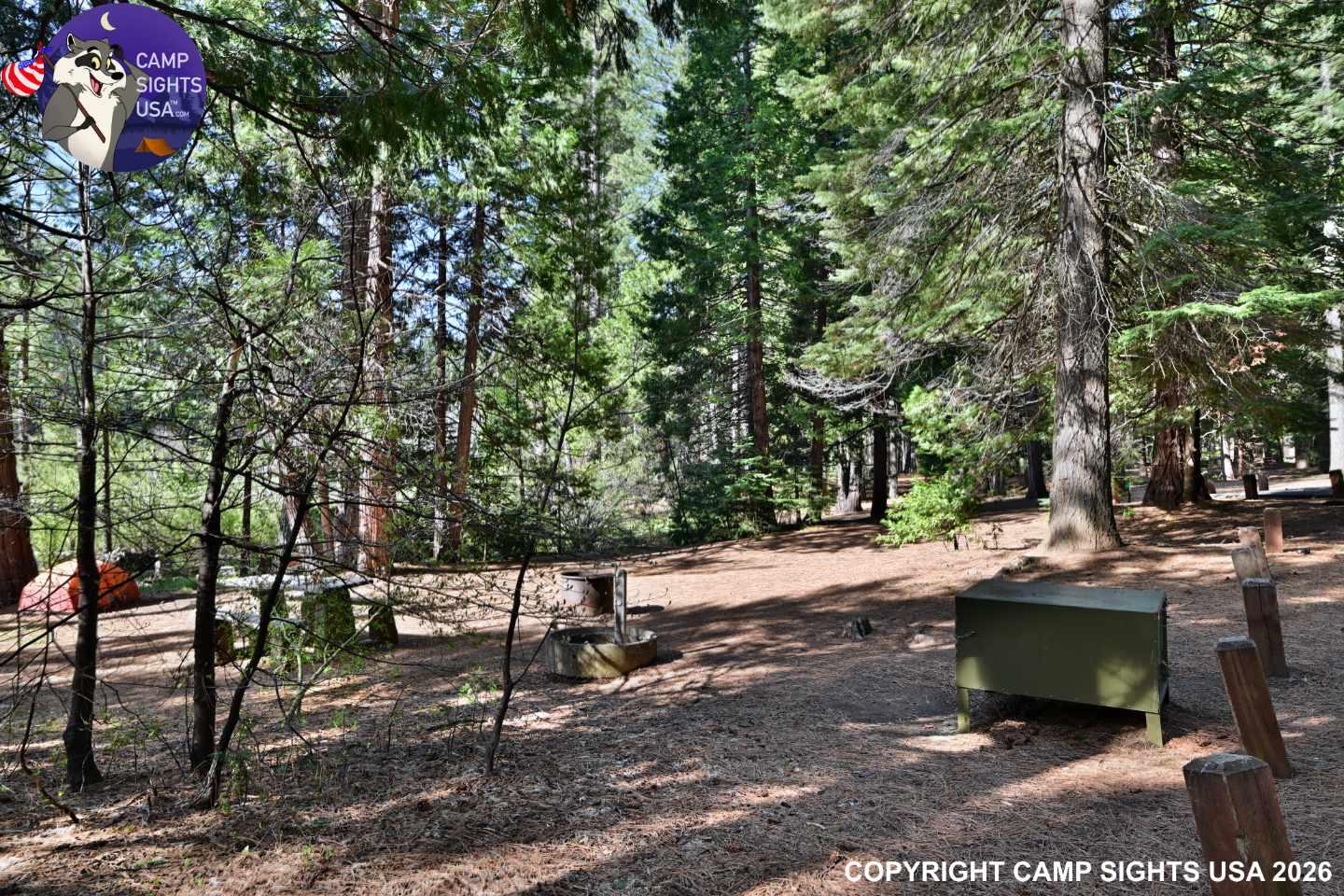 Calaveras Big Trees State Park #5