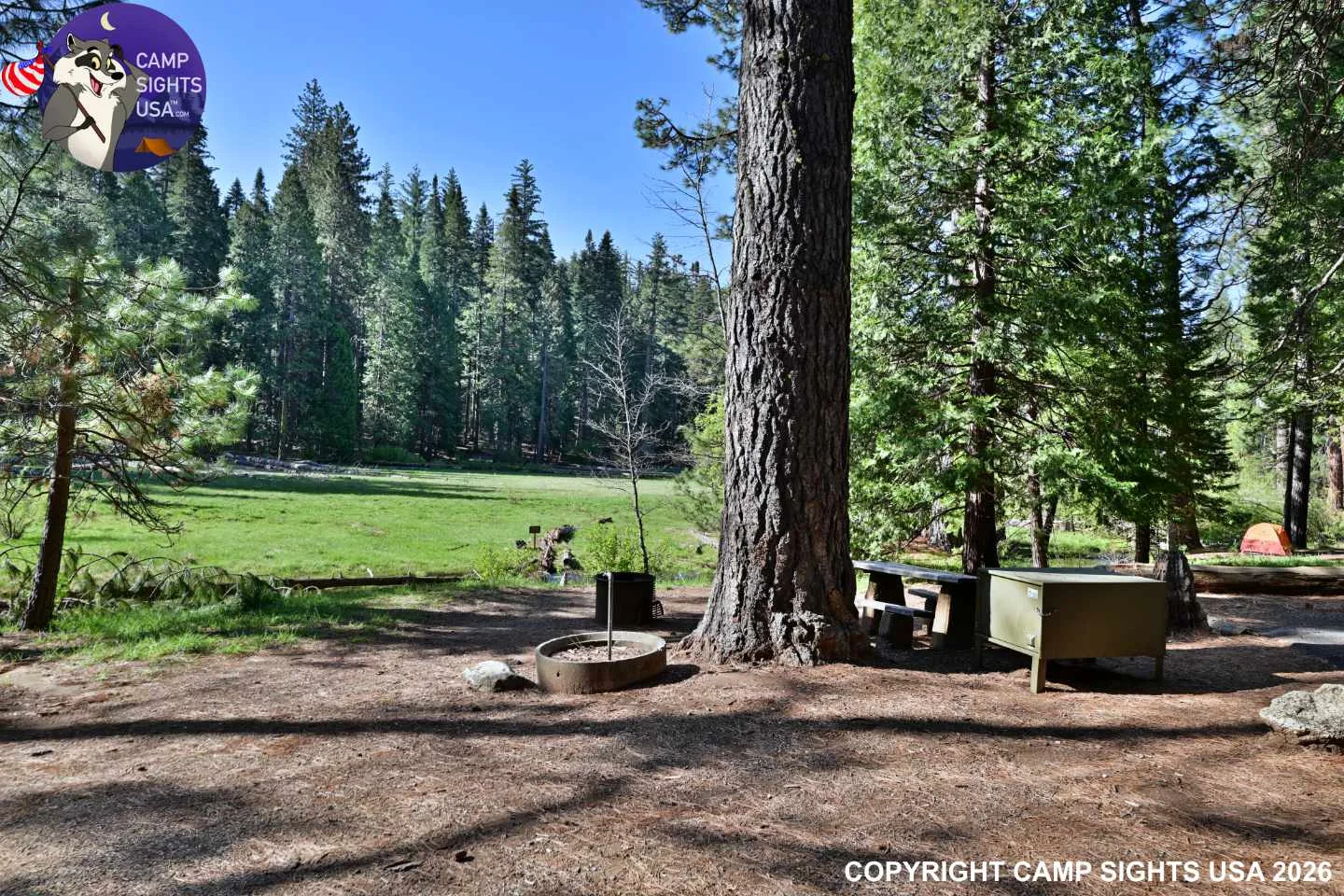 Calaveras Big Trees State Park #6