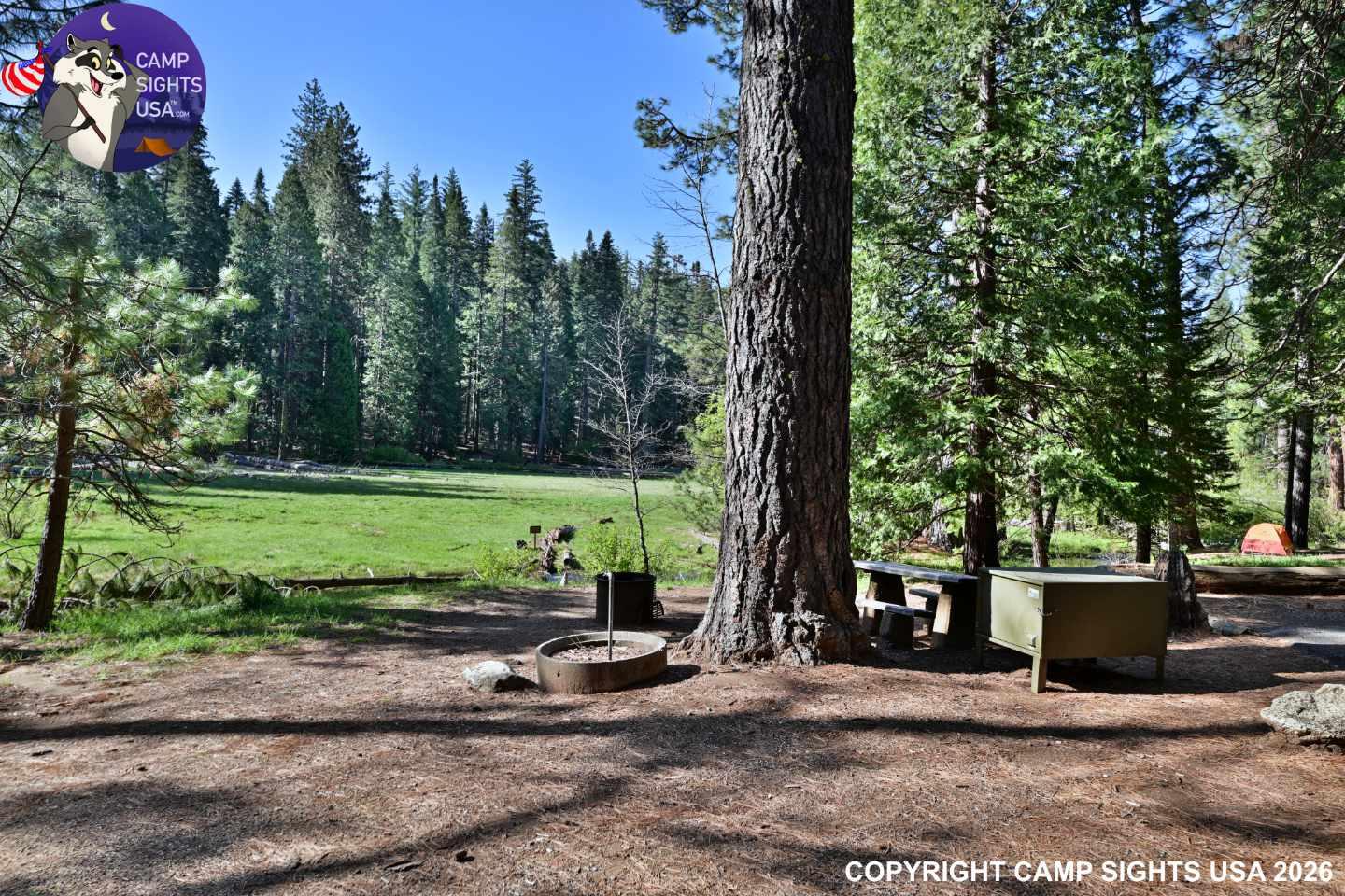 Calaveras Big Trees State Park #6