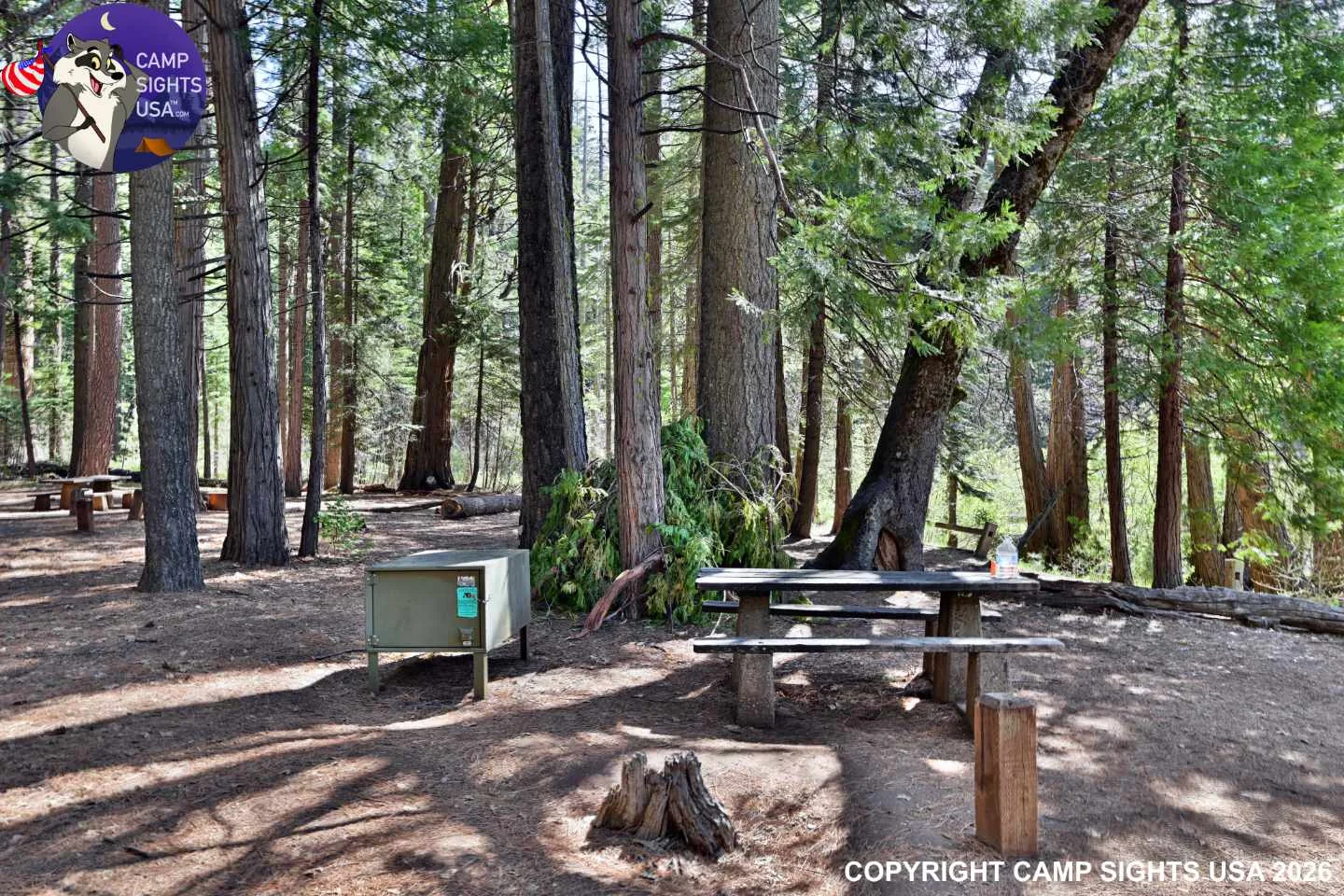 Calaveras Big Trees State Park #7