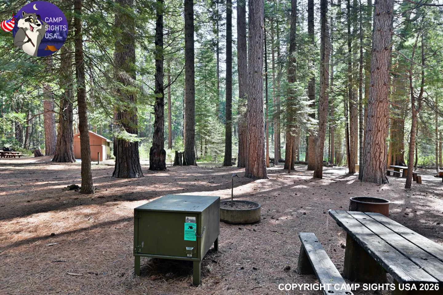 Calaveras Big Trees State Park #9