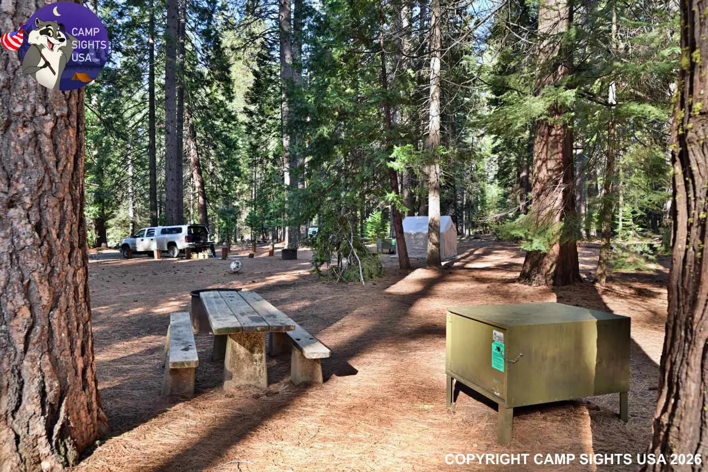 Calaveras Big Trees State Park #10