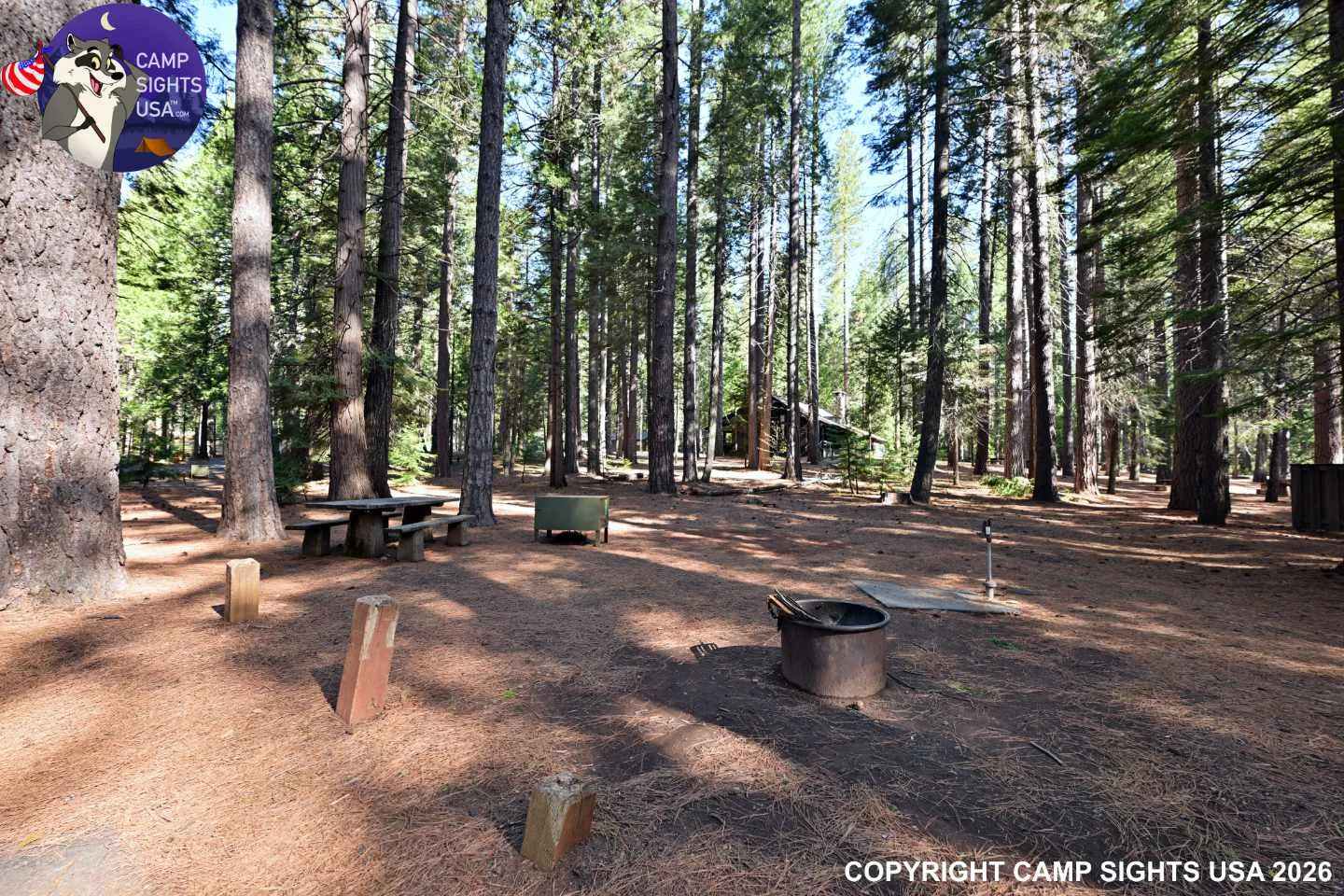 Calaveras Big Trees State Park #11