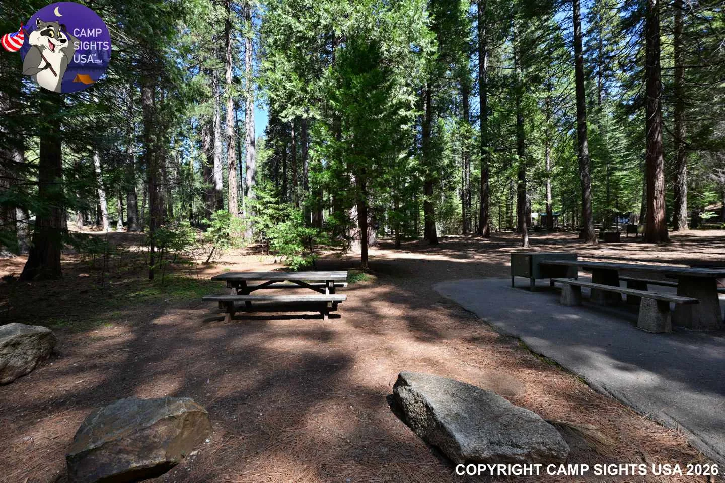 Calaveras Big Trees State Park #12