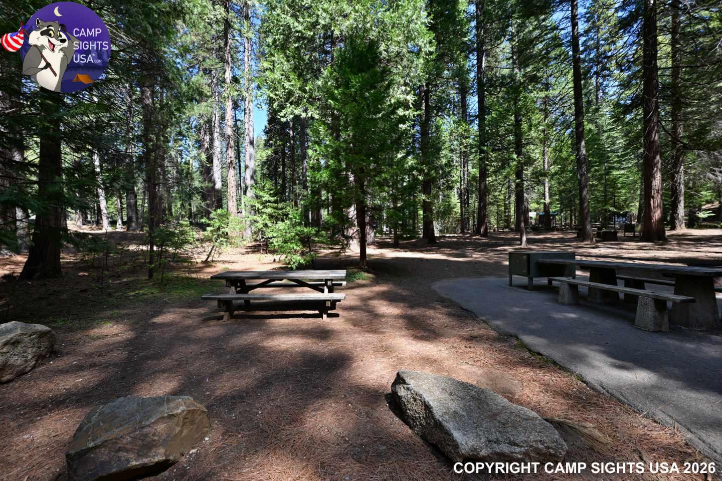 Calaveras Big Trees State Park #12