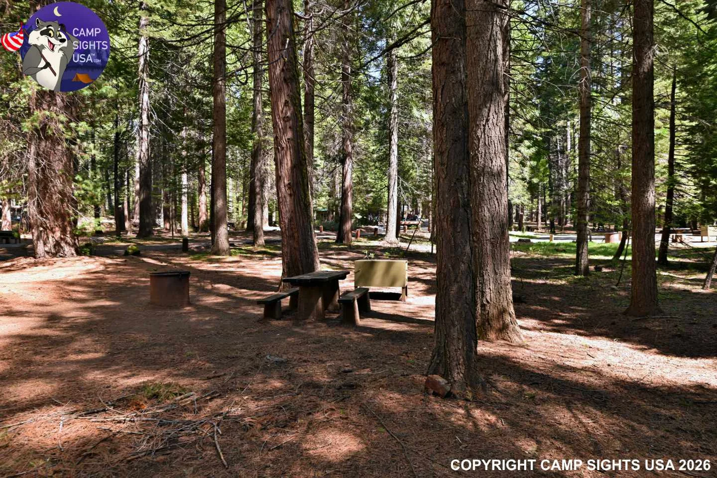 Calaveras Big Trees State Park #13