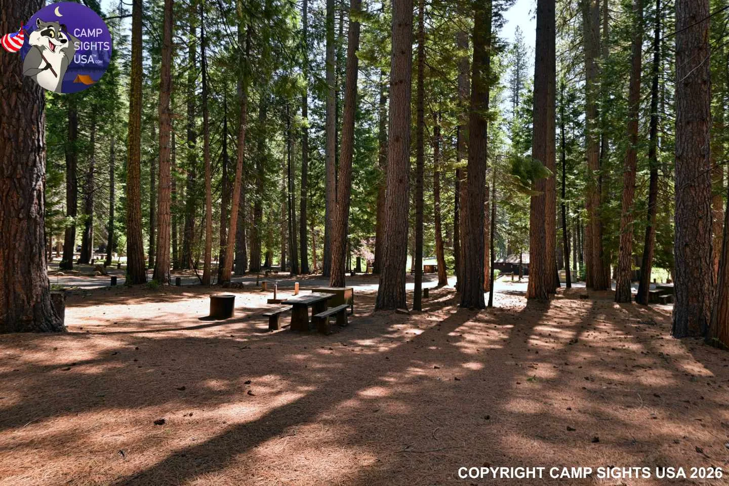 Calaveras Big Trees State Park #14