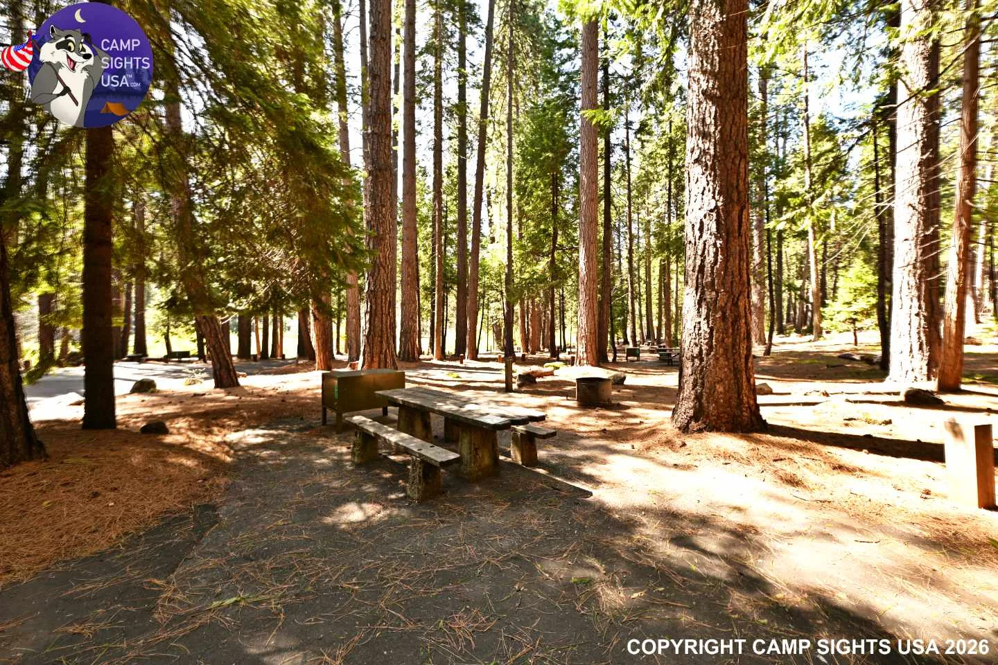 Calaveras Big Trees State Park #15