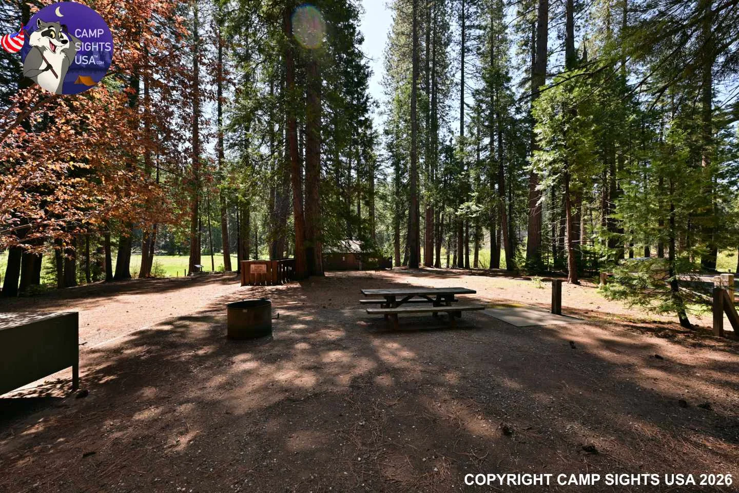 Calaveras Big Trees State Park #16