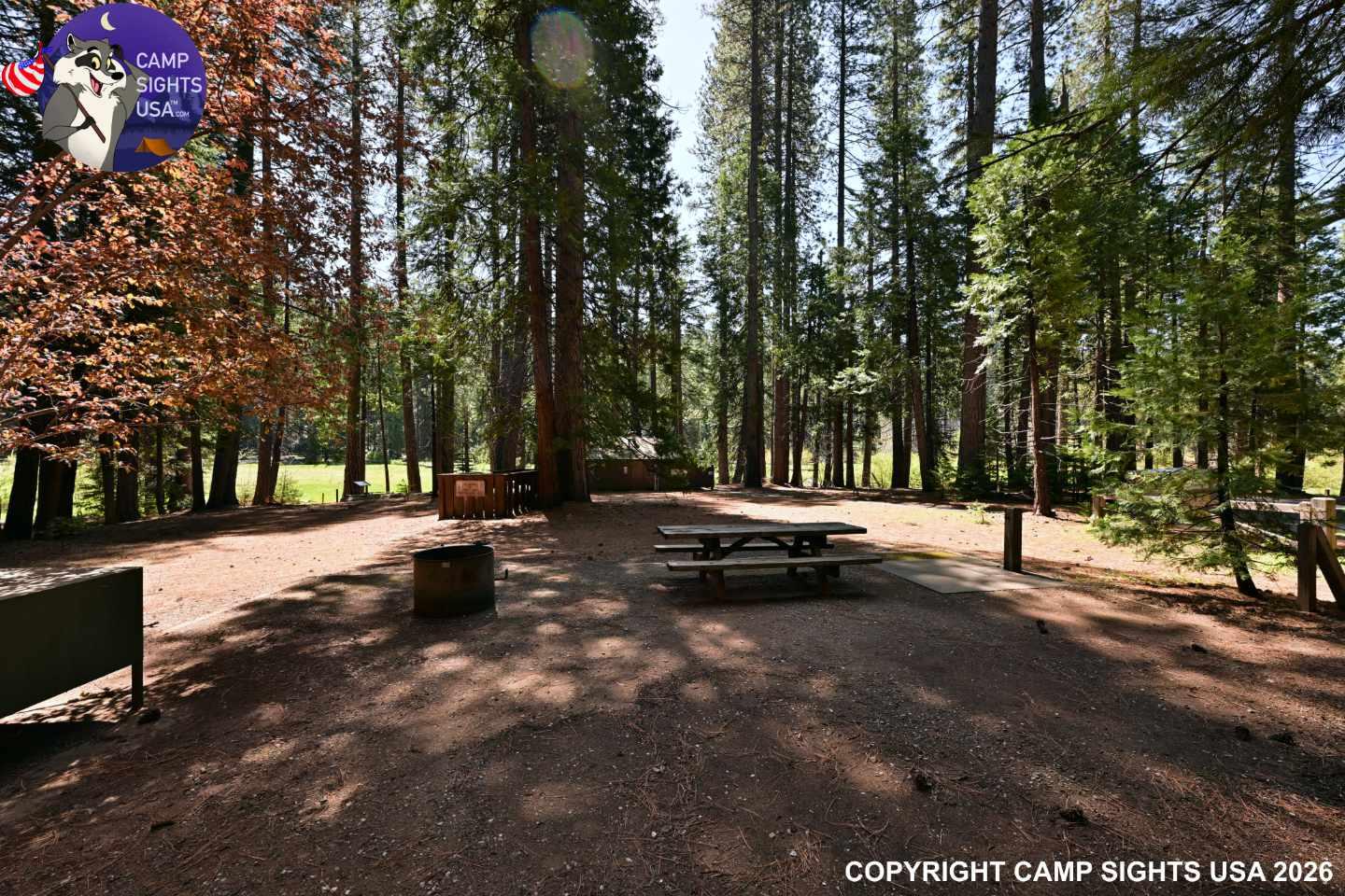 Calaveras Big Trees State Park #16