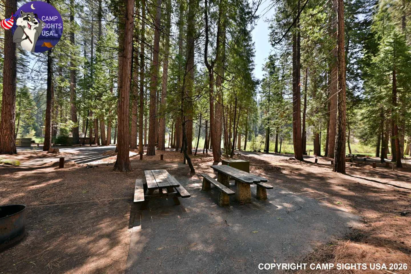 Calaveras Big Trees State Park #18