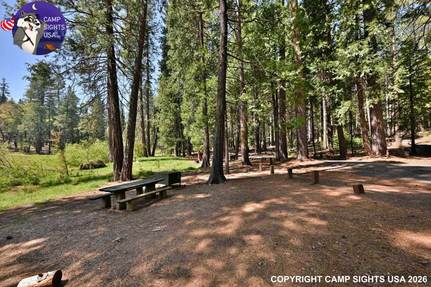 Calaveras Big Trees State Park #19