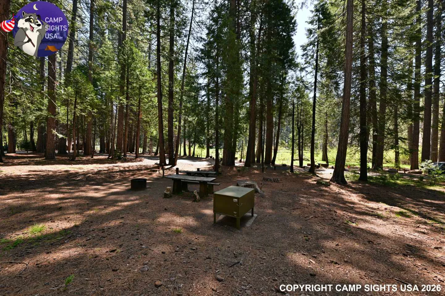 Calaveras Big Trees State Park #20