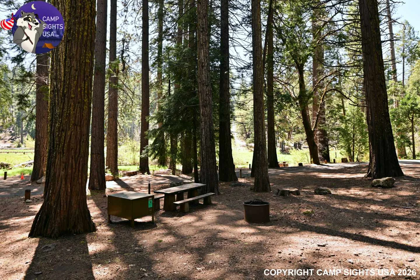 Calaveras Big Trees State Park #22