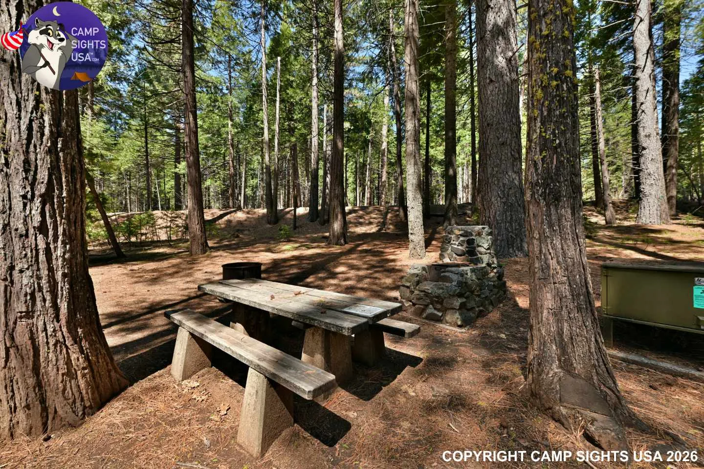 Calaveras Big Trees State Park #23
