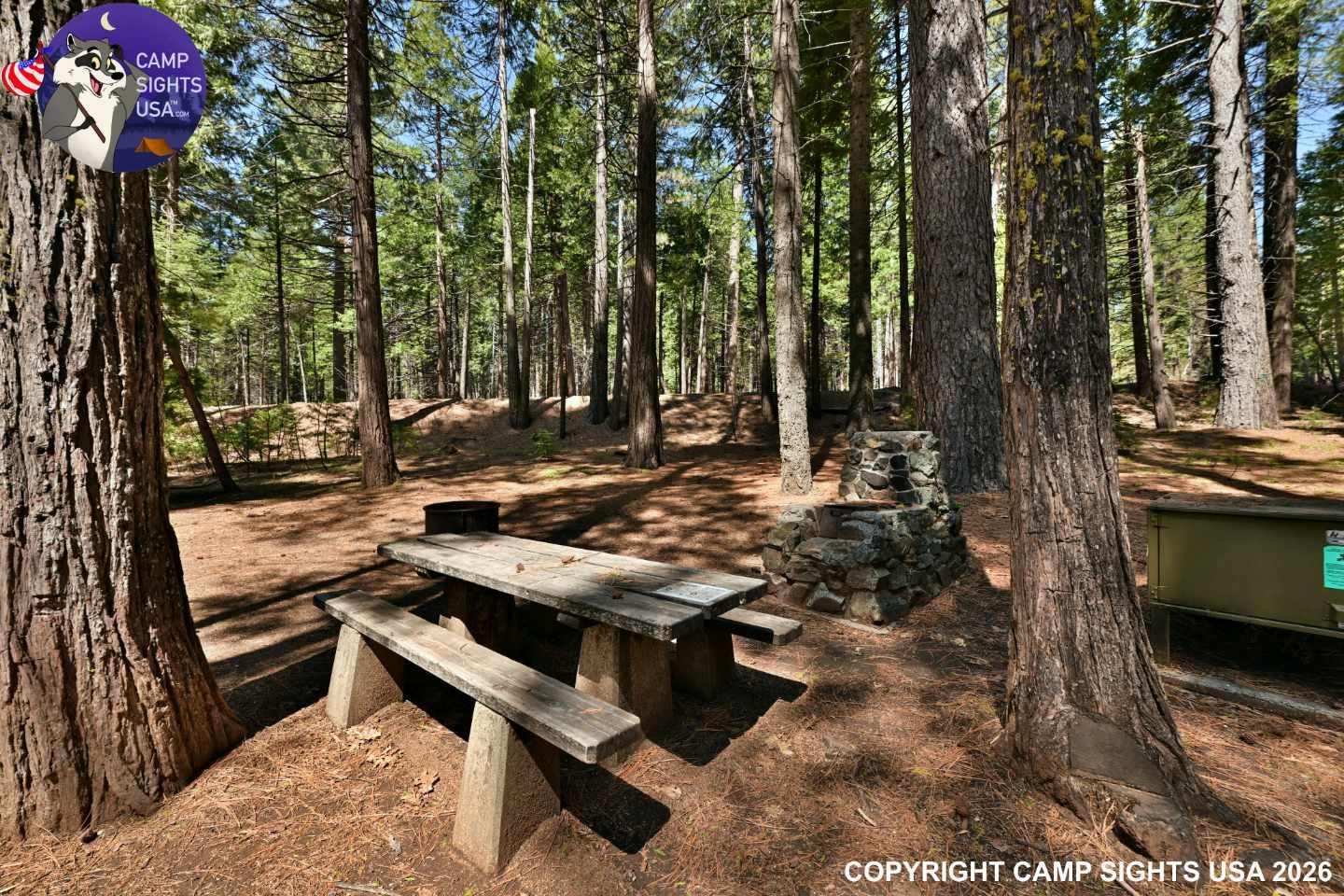 Calaveras Big Trees State Park #23