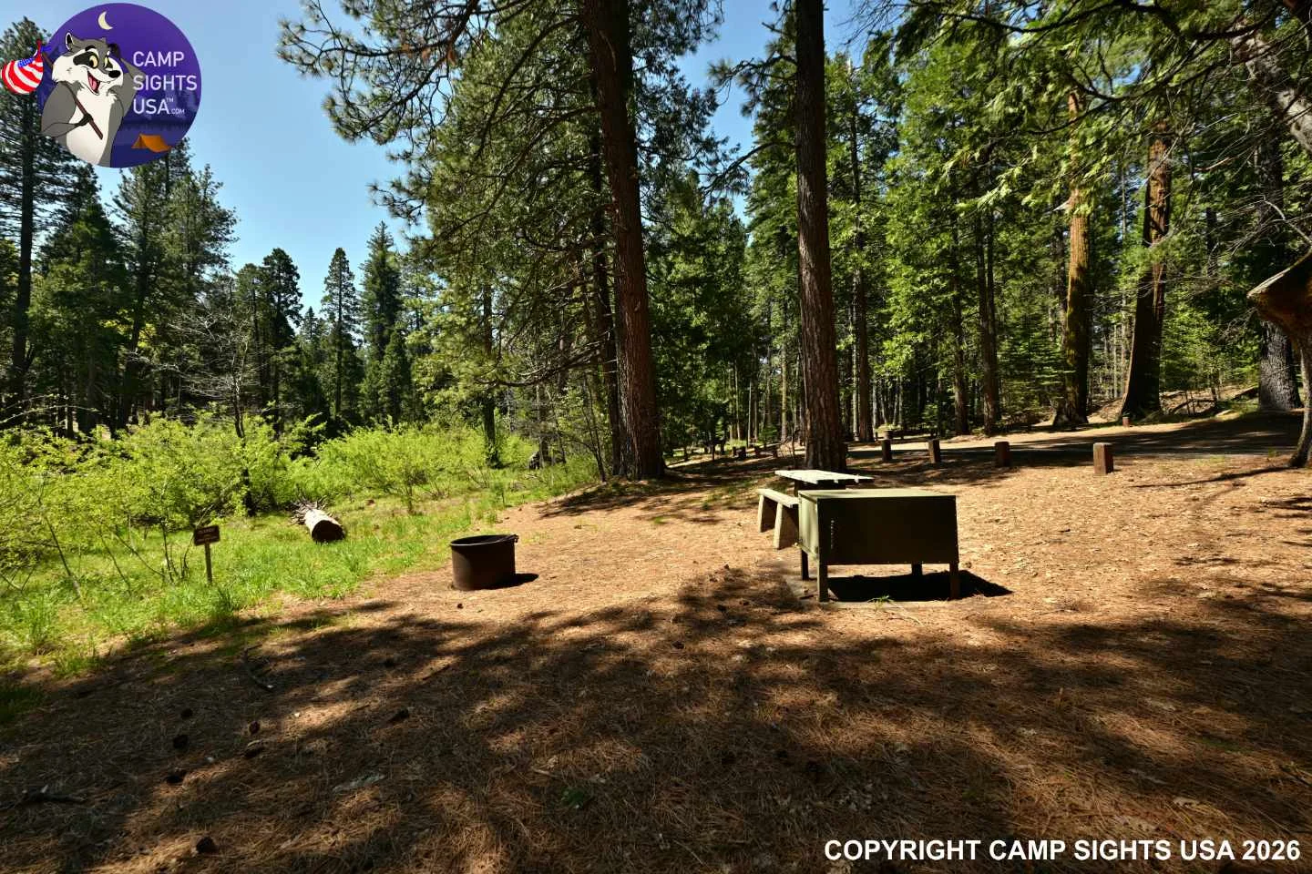 Calaveras Big Trees State Park #24