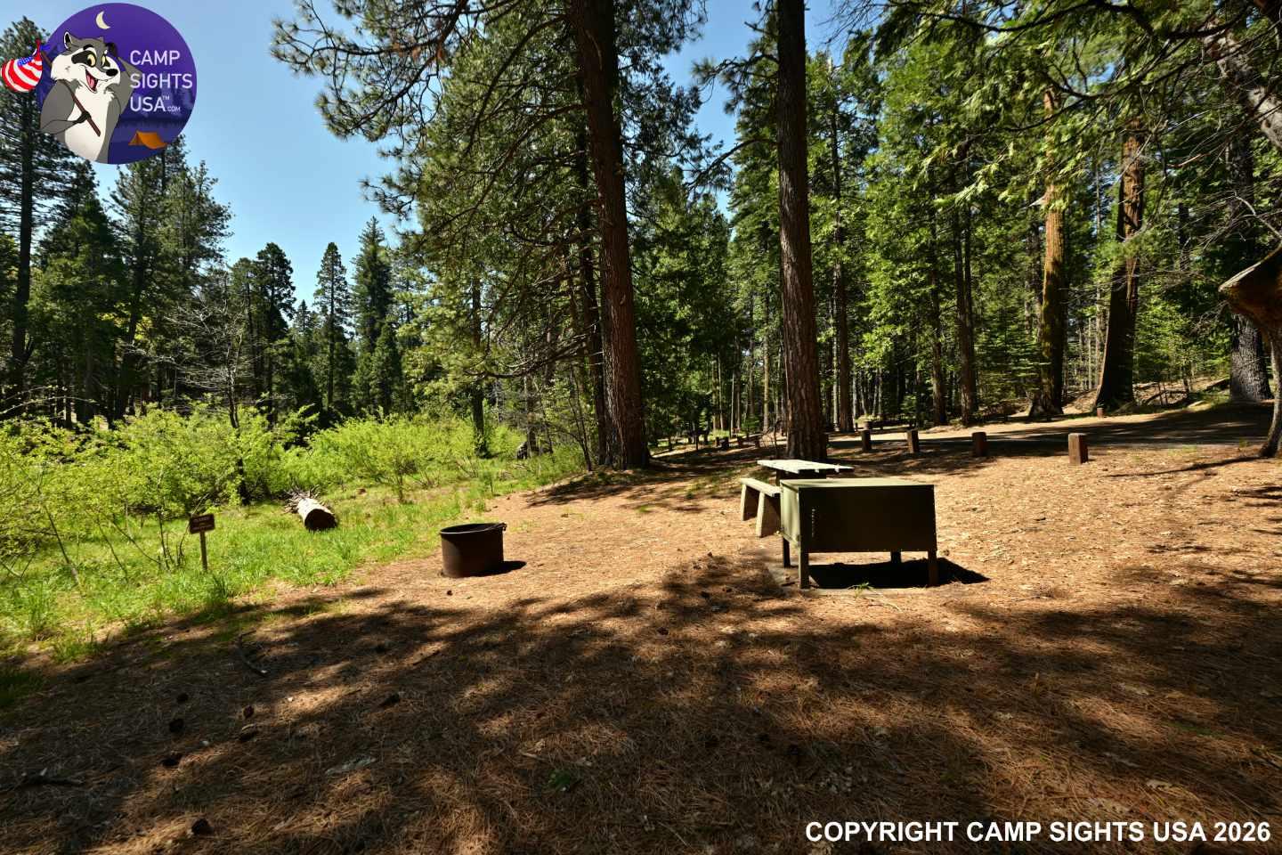 Calaveras Big Trees State Park #24
