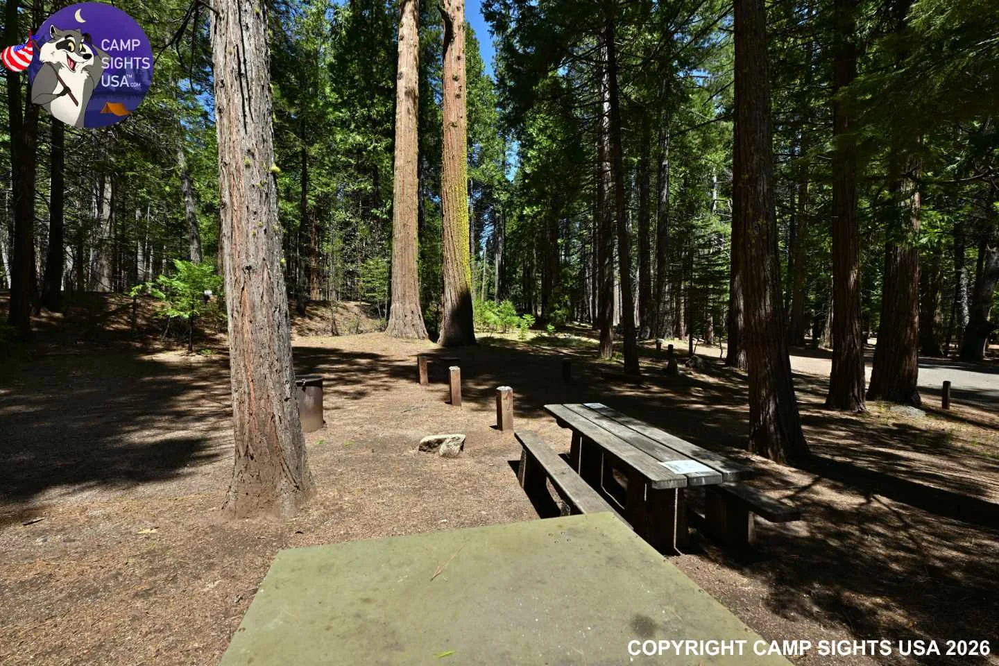 Calaveras Big Trees State Park #25