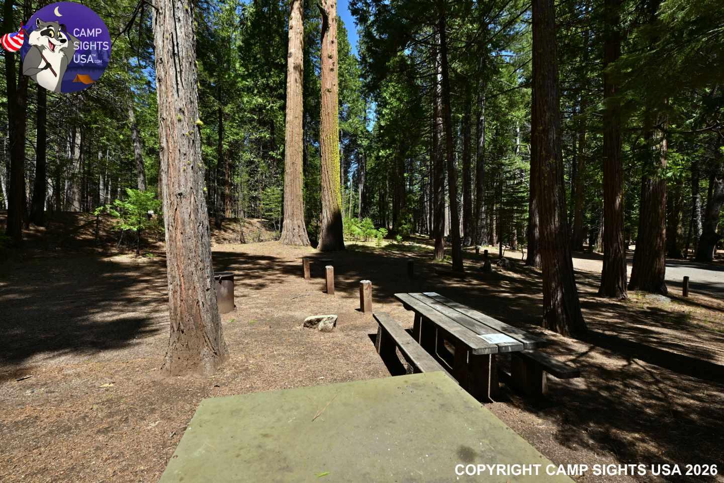 Calaveras Big Trees State Park #25
