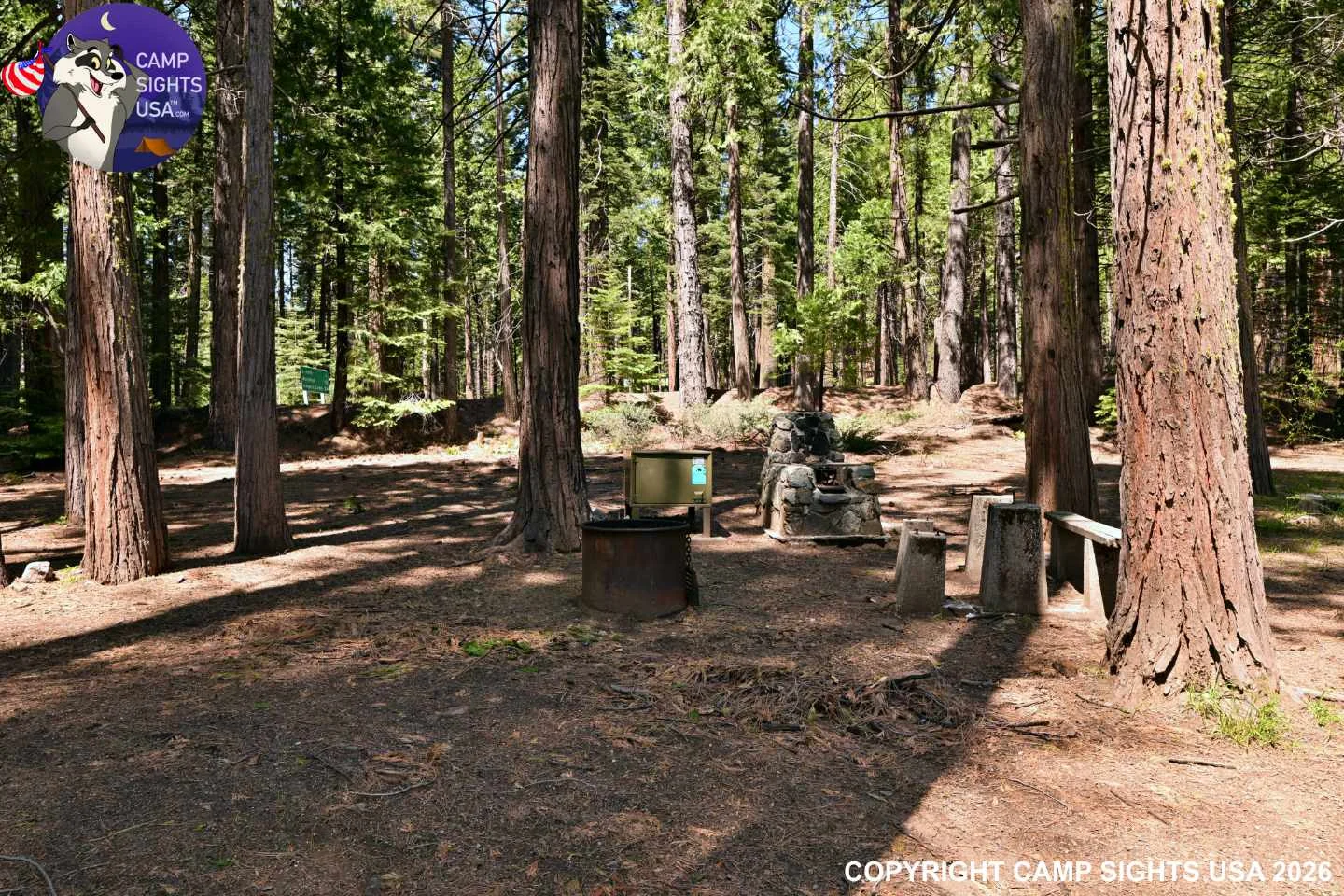 Calaveras Big Trees State Park #26