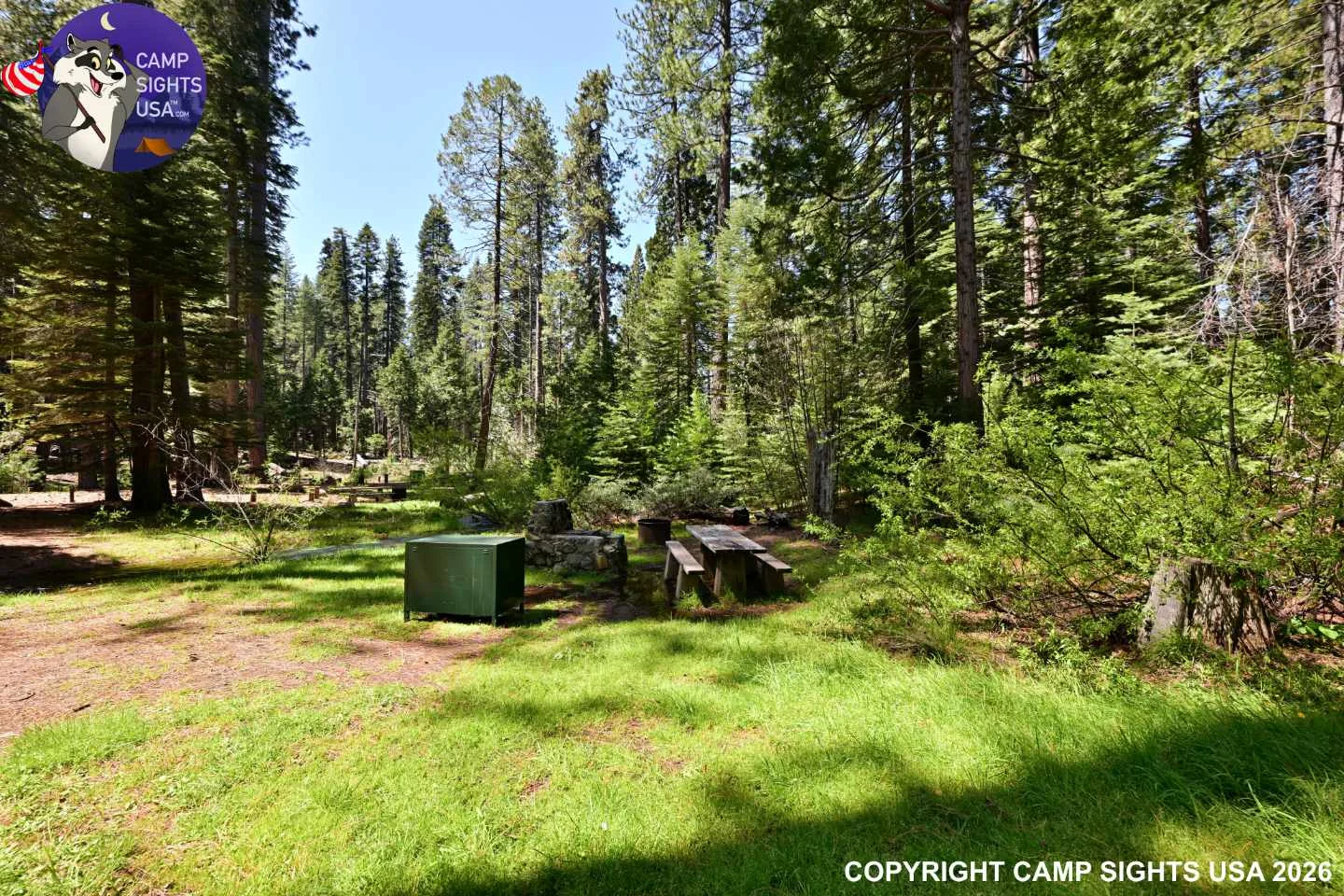 Calaveras Big Trees State Park #29