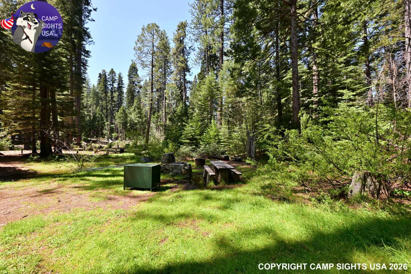 Calaveras Big Trees State Park #29