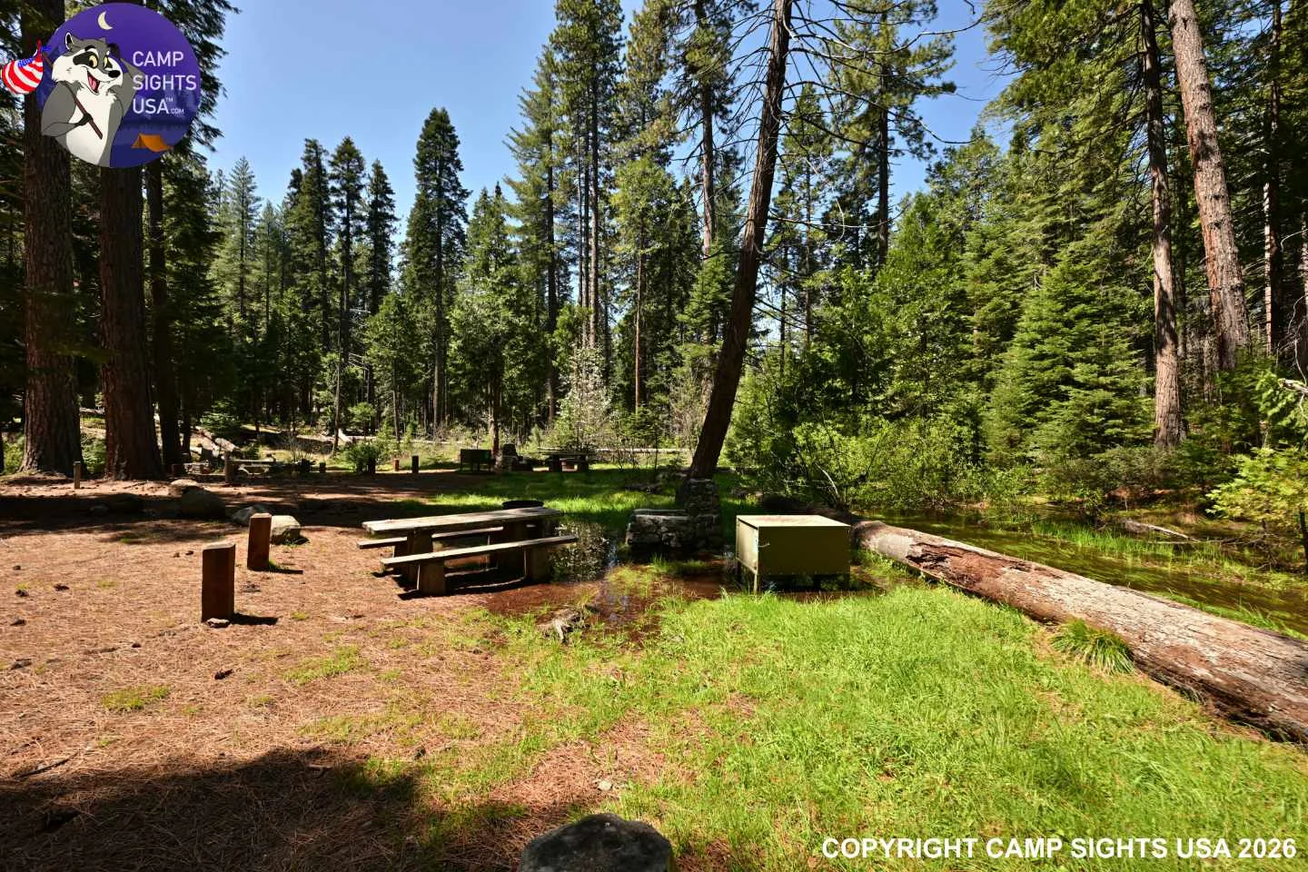 Calaveras Big Trees State Park #30
