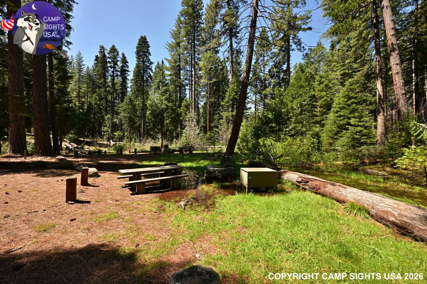 Calaveras Big Trees State Park #30