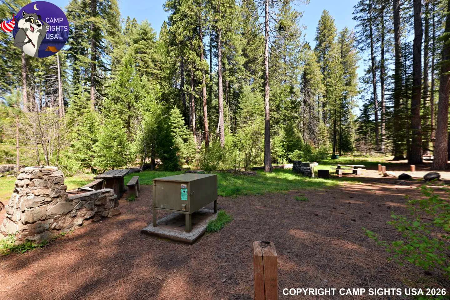 Calaveras Big Trees State Park #31