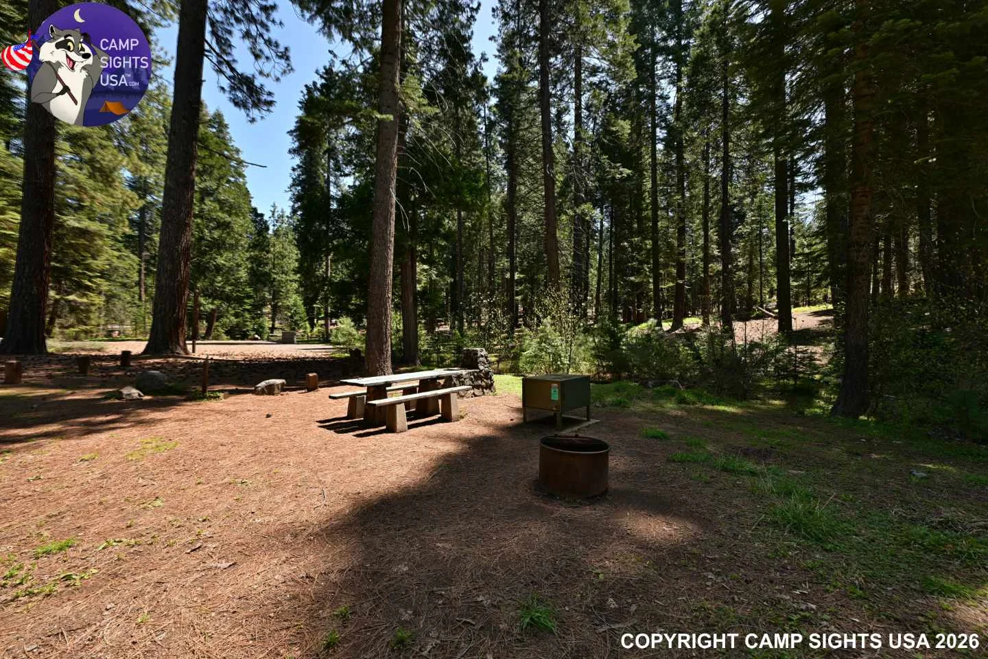 Calaveras Big Trees State Park #32