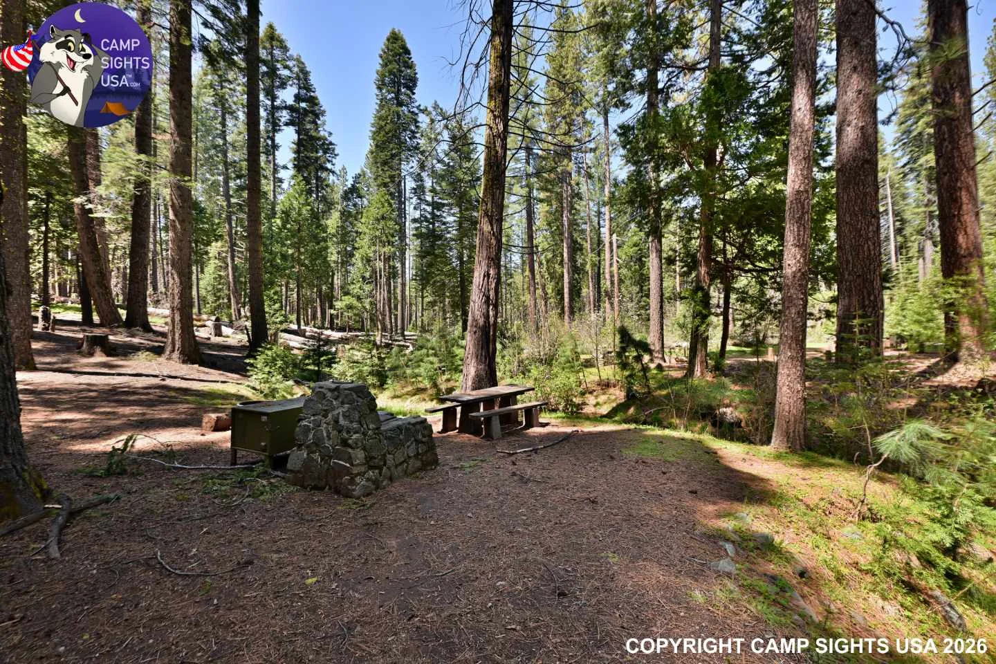 Calaveras Big Trees State Park #33