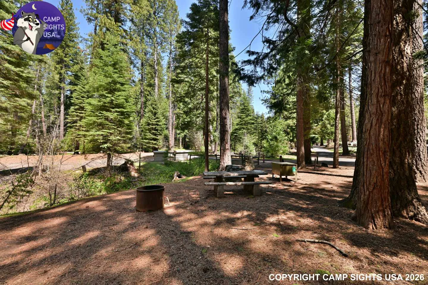 Calaveras Big Trees State Park #34