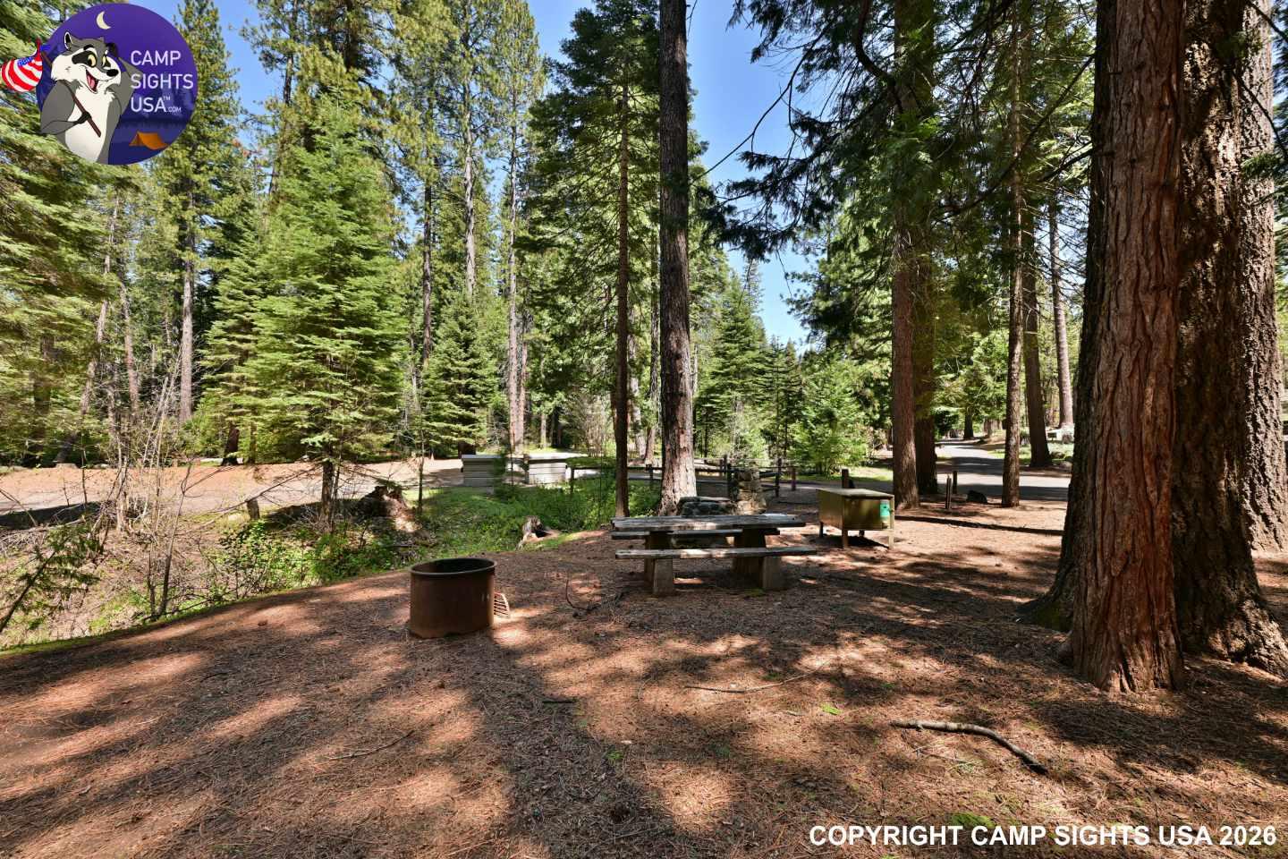 Calaveras Big Trees State Park #34