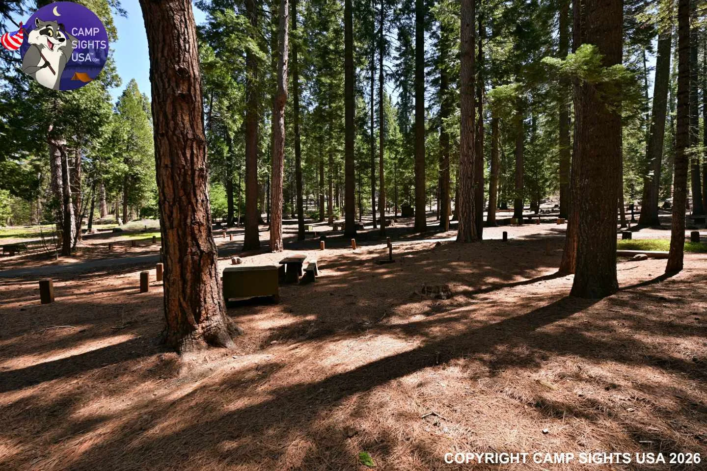 Calaveras Big Trees State Park #35