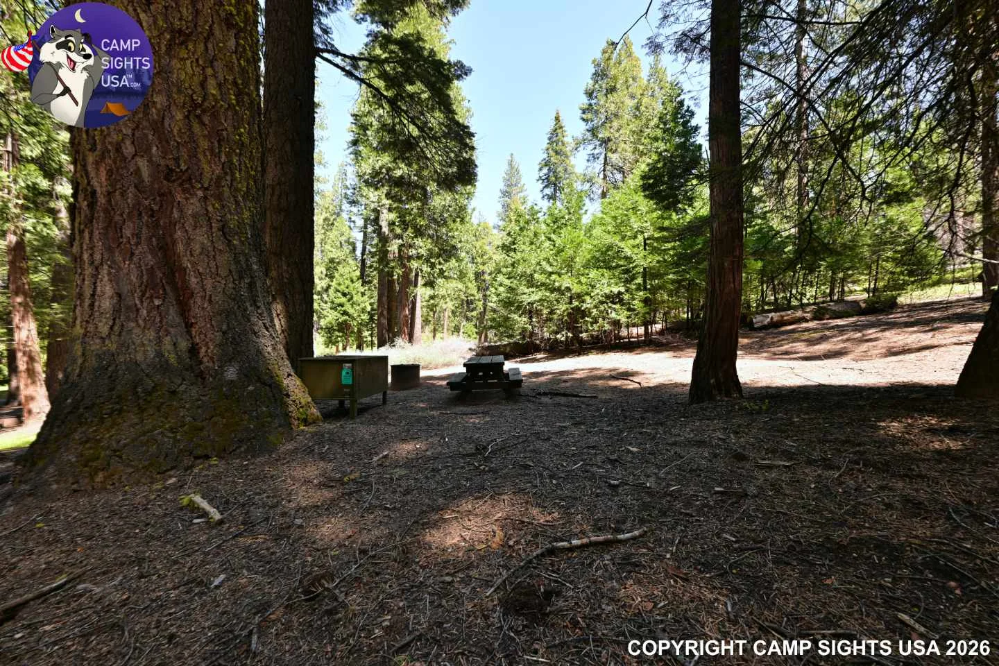 Calaveras Big Trees State Park #36