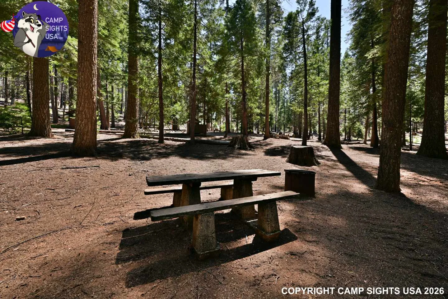 Calaveras Big Trees State Park #37