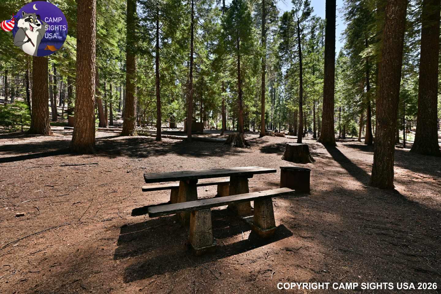 Calaveras Big Trees State Park #37