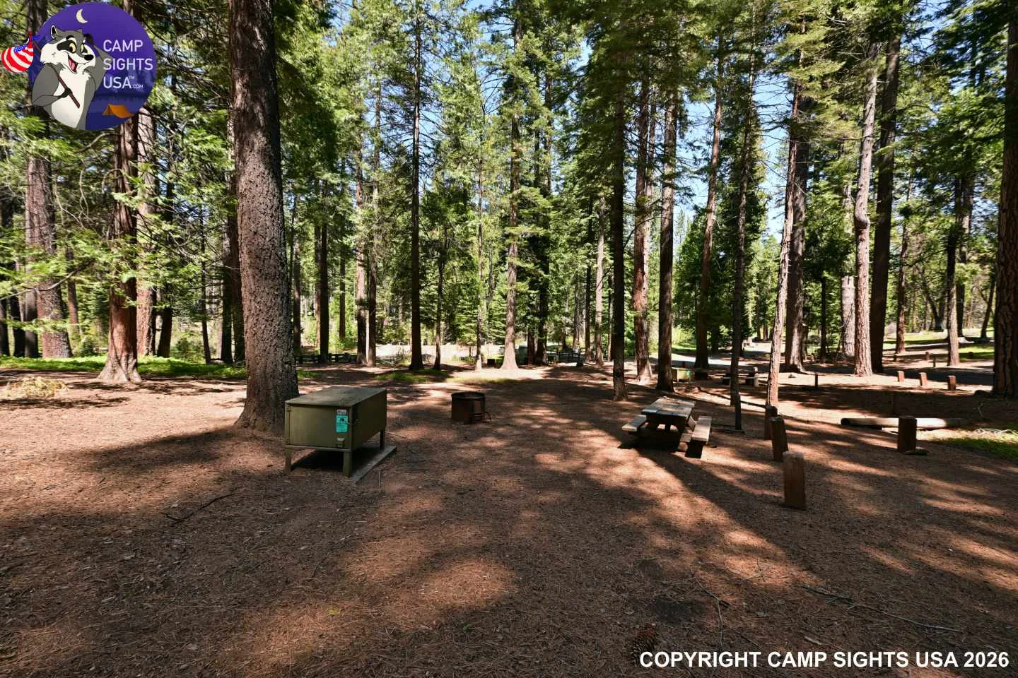 Calaveras Big Trees State Park #38