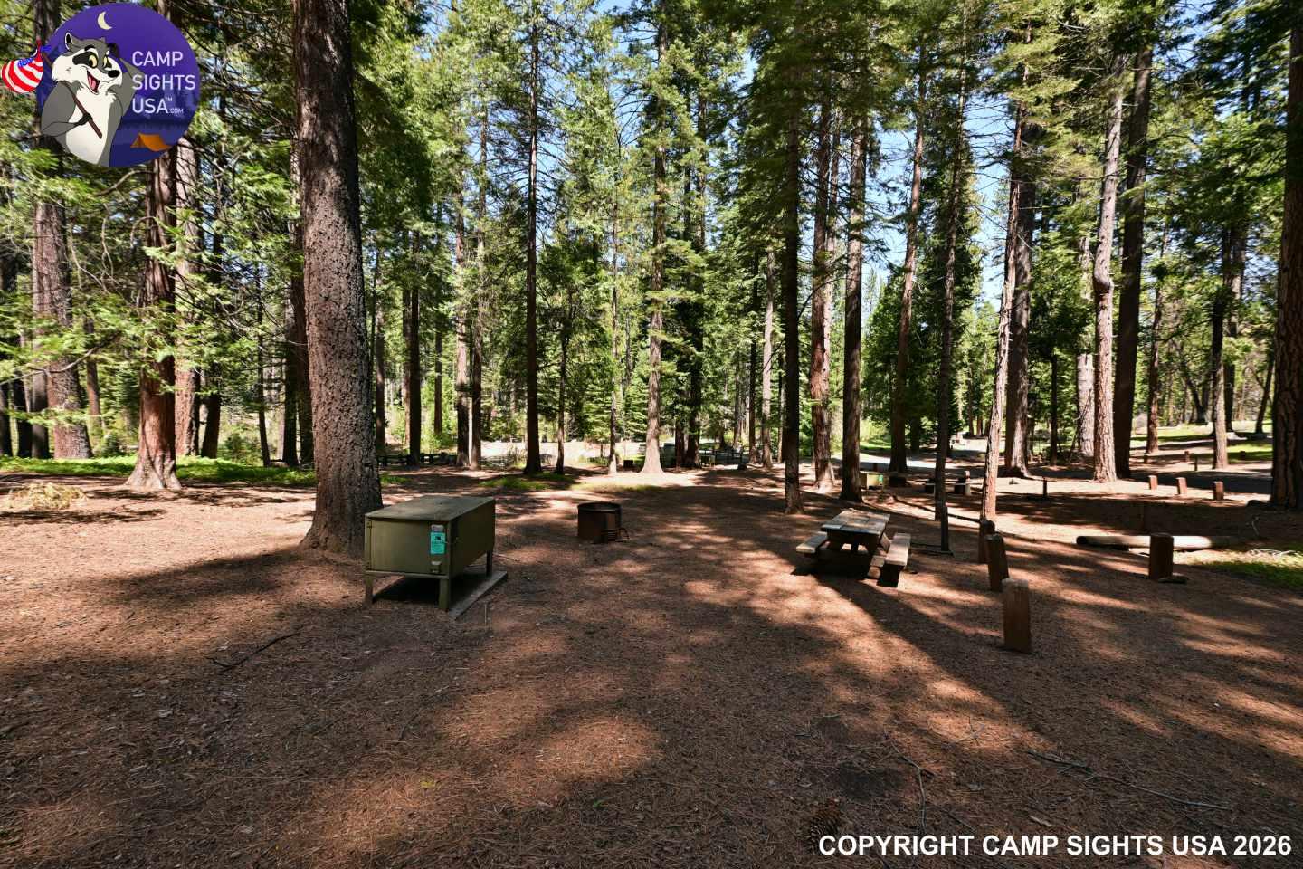 Calaveras Big Trees State Park #38
